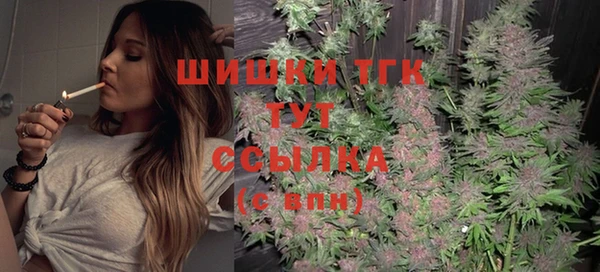 твердый Сосновый Бор