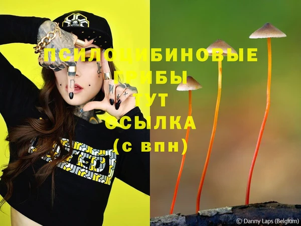 скорость Верея