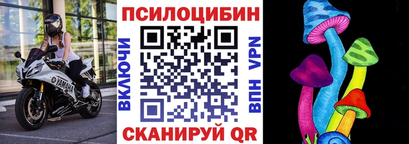 ссылка на мегу зеркало  закладка  Новохопёрск  Псилоцибиновые грибы мухоморы 
